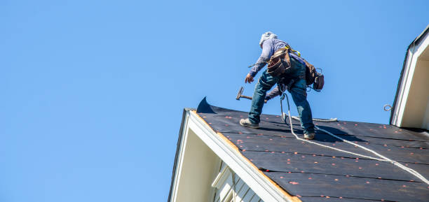 Roof Gutter Cleaning in Girard, KS